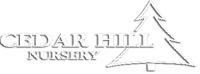 Cedar hill nursery inc
