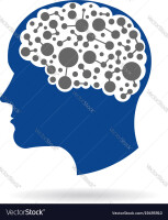 Cerebral connections