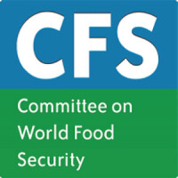 Cfs international, inc.