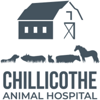 Chillicothe veterinary clinic