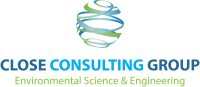 Cnk consulting group llc