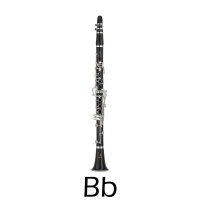 Clarinets for conservation