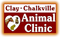 Clay chalkville animal clinic