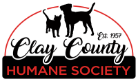 Clay county animal shelter
