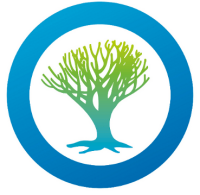 Finance director / cfo
