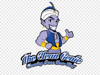 Clean genie