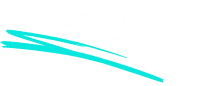 Clearview accounting solutions