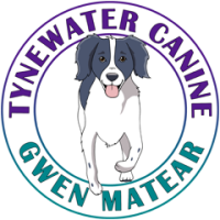 Click-canine learning, i coach k9's