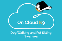 Cloud k9