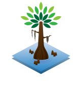 Cypress management group corp.
