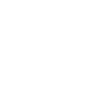 Cocu investments ireland limited