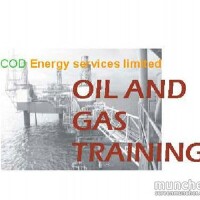Cod energy services limited