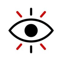 Fashion coin