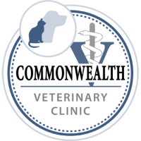 Commonwealth veterinary hosp