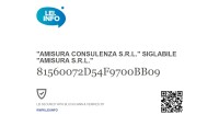 Amisura Consulenza s.r.l.