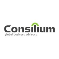 Consilium financial advisors, llc