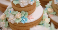 Cookie creatives by jennifer