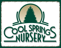 Cool springs nursery