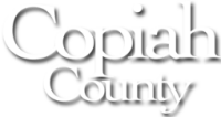 Copiah county tax collector