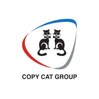 Copy cat video