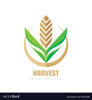 Corner harvest