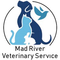 Corriente veterinary svc
