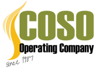 Coso