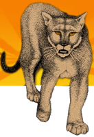 Cougar pallet inc