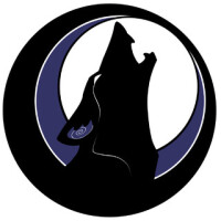 Coyote glass llc