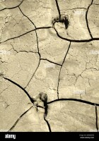 Cracked clay