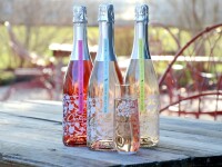 Croteaux vineyards