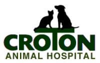 Croton animal hospital