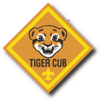 Cub scout pack 155