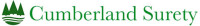 Cumberland surety, inc.
