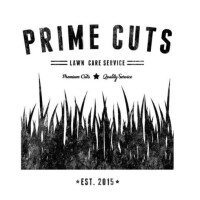 Curts lawn care