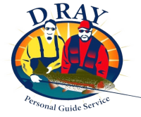 D ray personal guide service