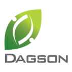 Dagson consulting, llc