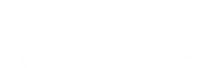 Dallas dental concierge