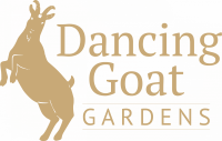 Dancing goat gardens