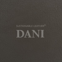 Dani analitica