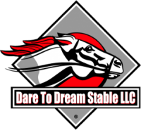Dare to dream stable