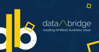 Data bridge corporation