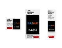 Datasmith solutions group