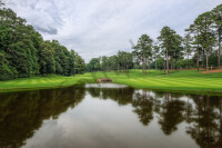 Dave sansom photography llc