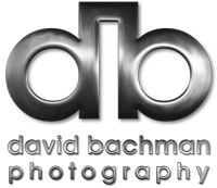 David bachman photography