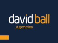 David ball design