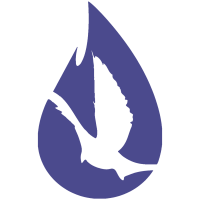 David harsh ministries