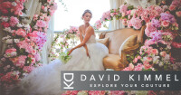 David kimmel design
