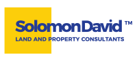 David solomon property consultants ltd