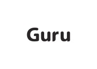 Decorator guru